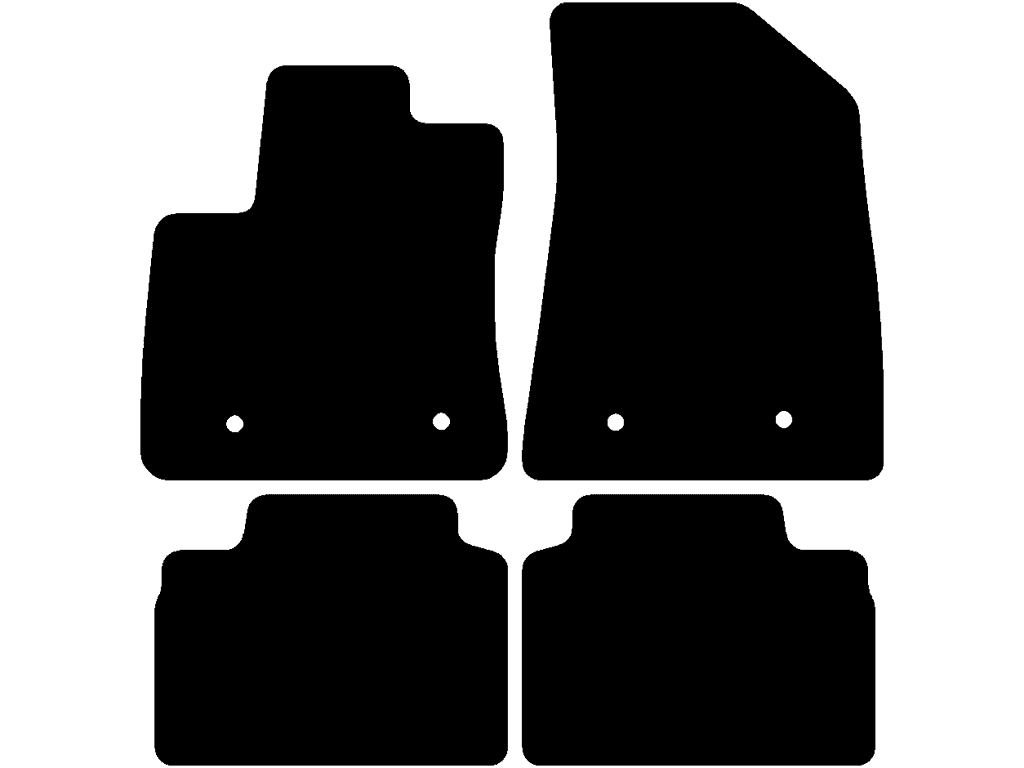 Elektryczny | Dwa oddzielne dywaniki tylne | Wariant 2