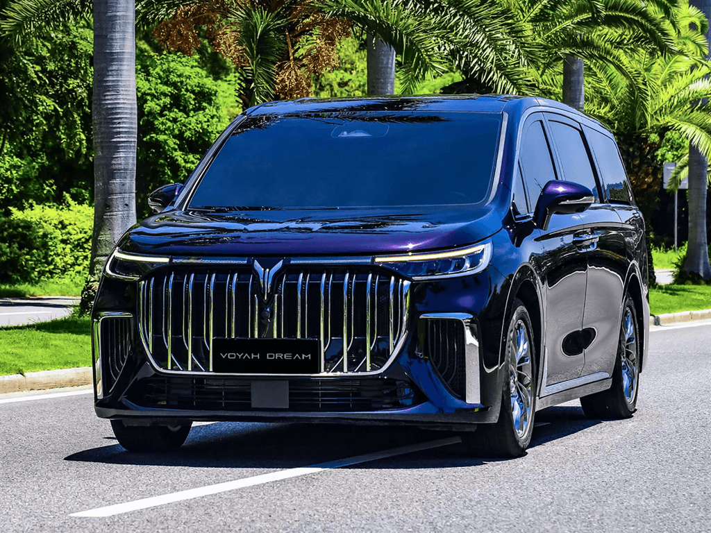 Dywaniki do Voyah Dream 2023 - 2025