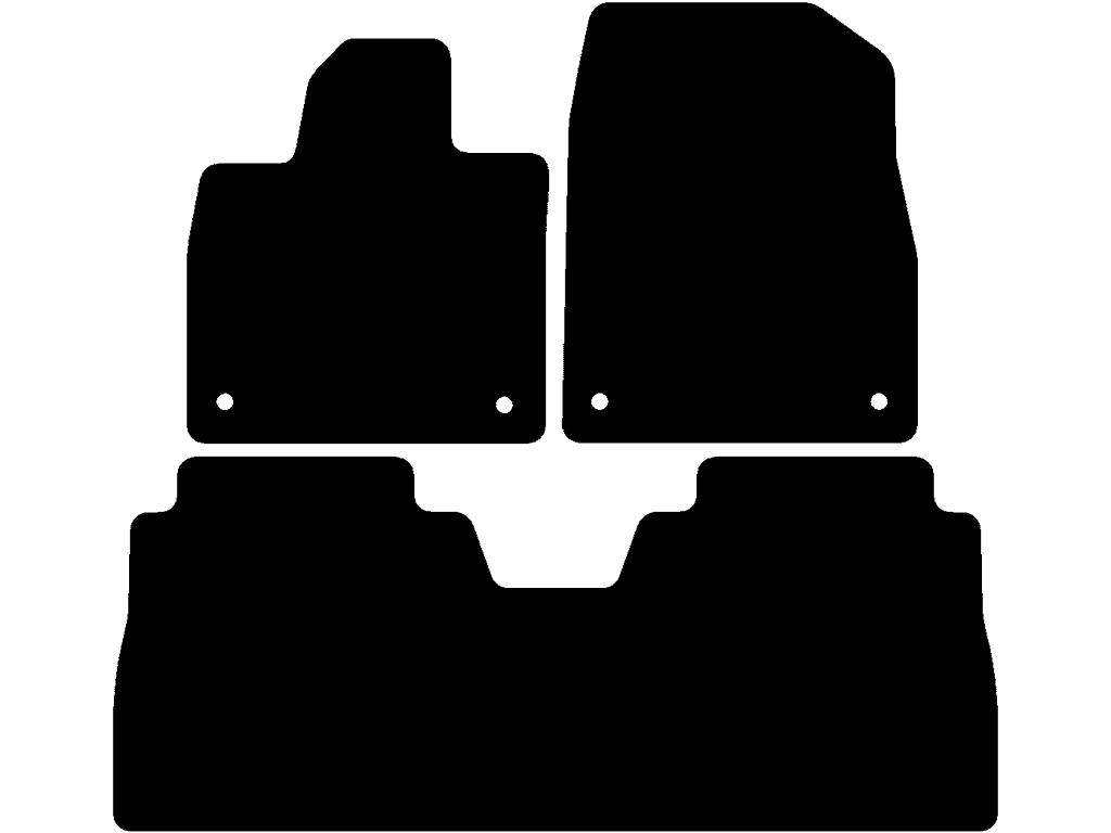 Dywaniki do Voyah Courage 2024 - 2025