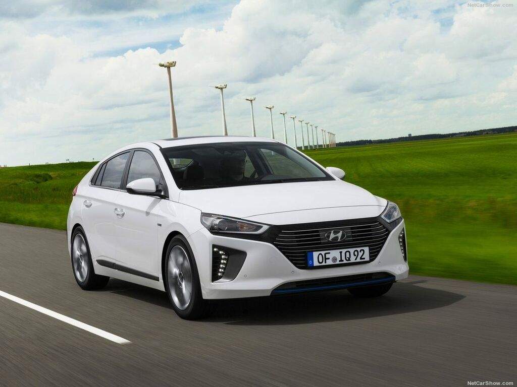 Dywaniki do Hyundai Ioniq 2016 - 2022