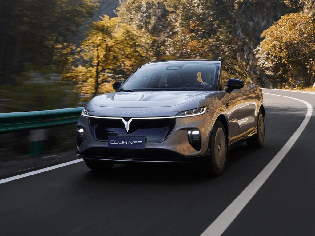 Dywaniki do Voyah Courage 2024 - 2025